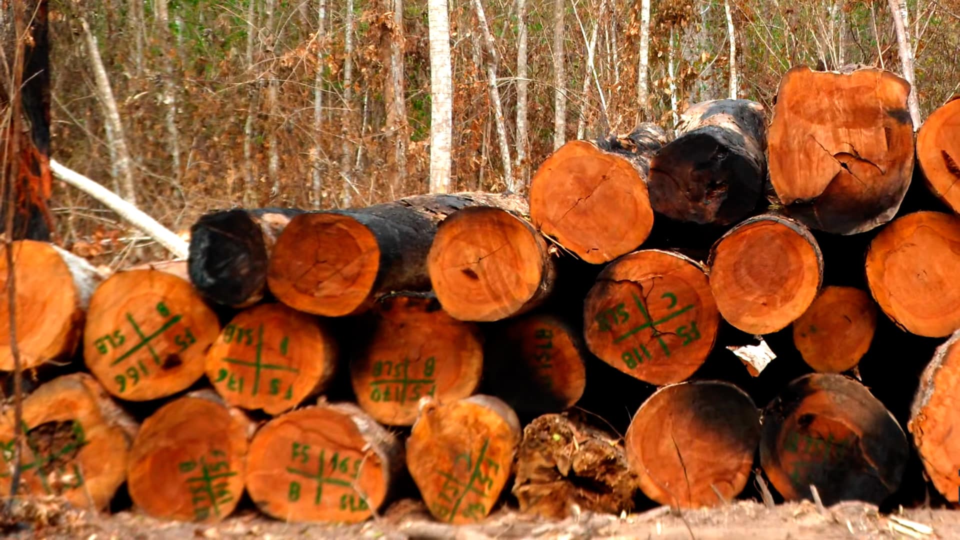 Eco-Friendly Products